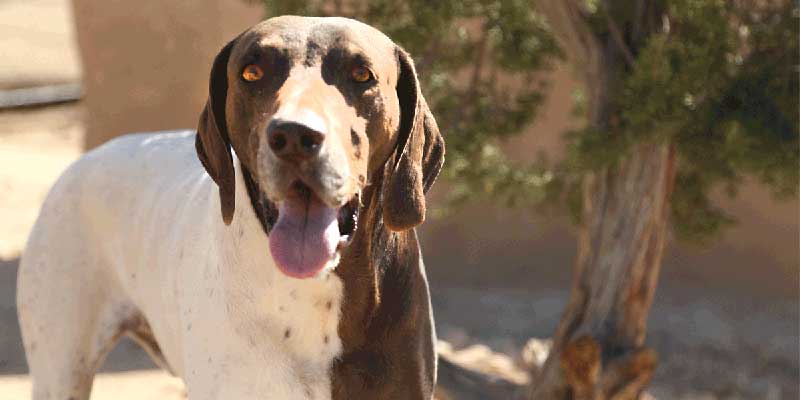 Delta Rescue resident Viktor