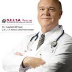 Dr Gaylord Brown