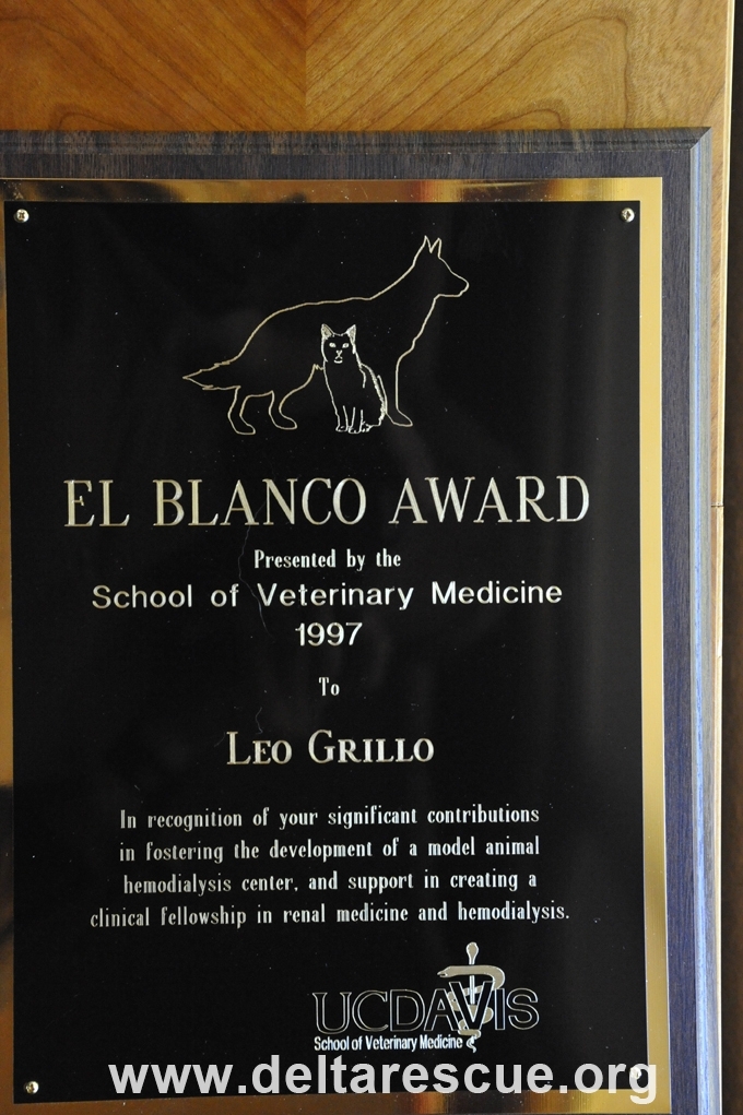 Veterinary Medicine Award Vet award for helping invent hemodialysis for dogs and cats