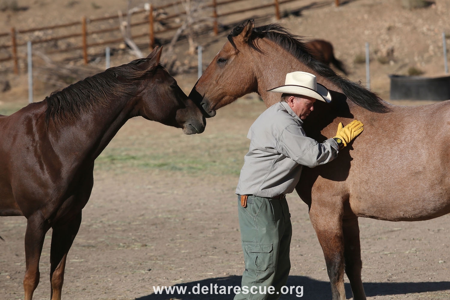 Meet Leo Grillo The Founder Of Delta Rescue Animal Sanctuary
