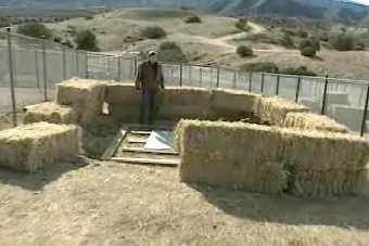 dog and cat sanctuary