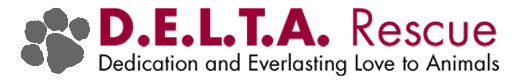 Dedication and Everlasting Love to Animals Rescue logo