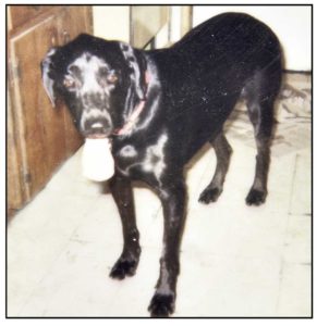 This is Delta, the one who inspired this mission.